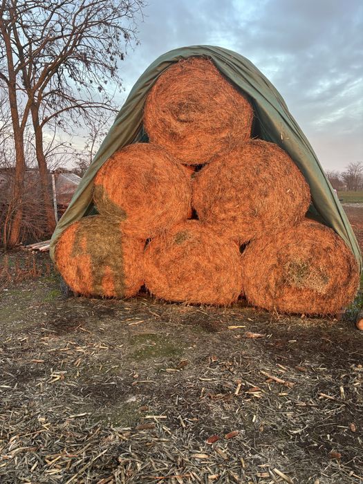 Baloti lucerna  cea mai buna calitate