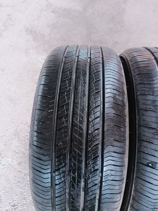 Продам ризину лето