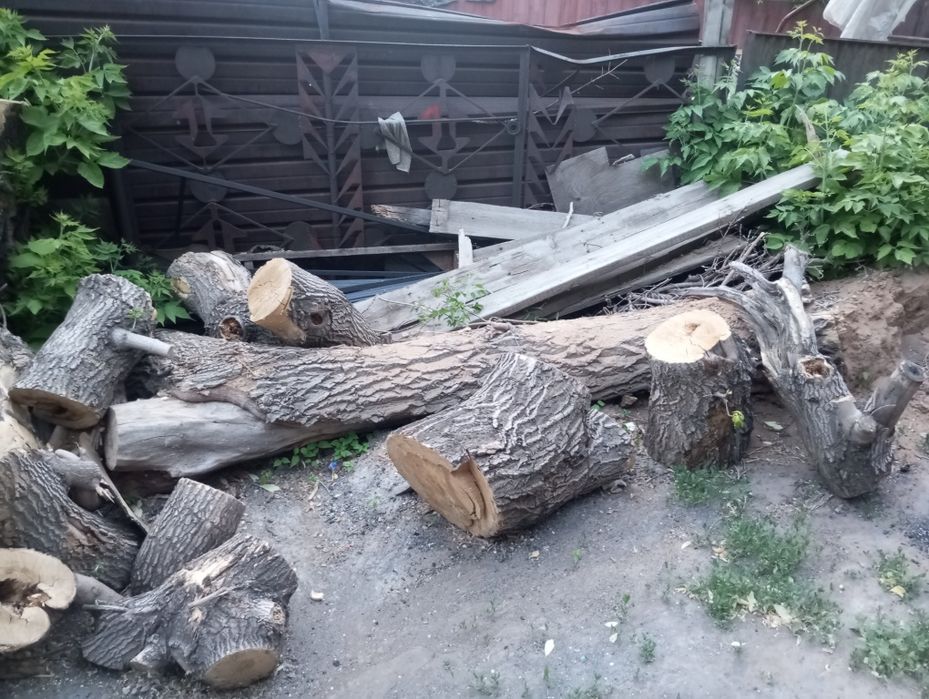 Отдам даром бесплатно