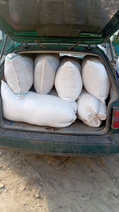 Ешкі жүн    қабылдаимыз түбыт