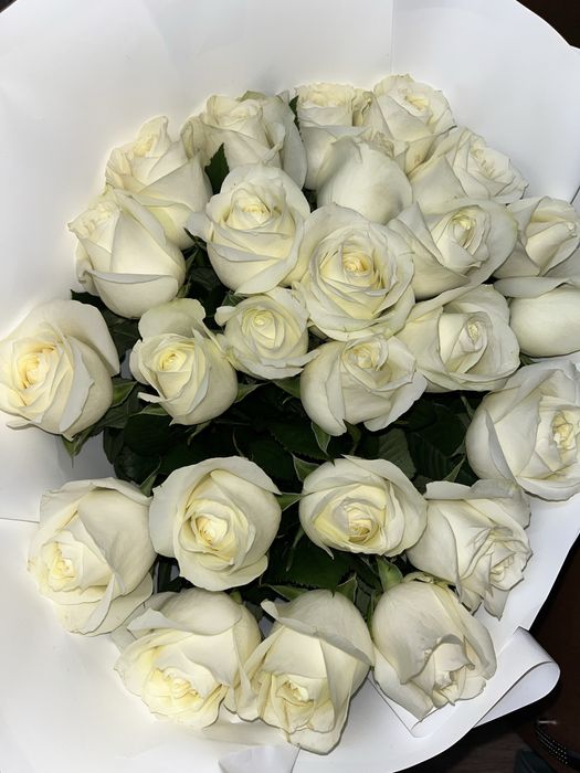 Белые розы 25штук продам