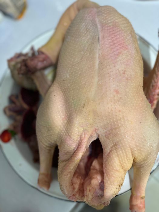 Гуси домашние тушками