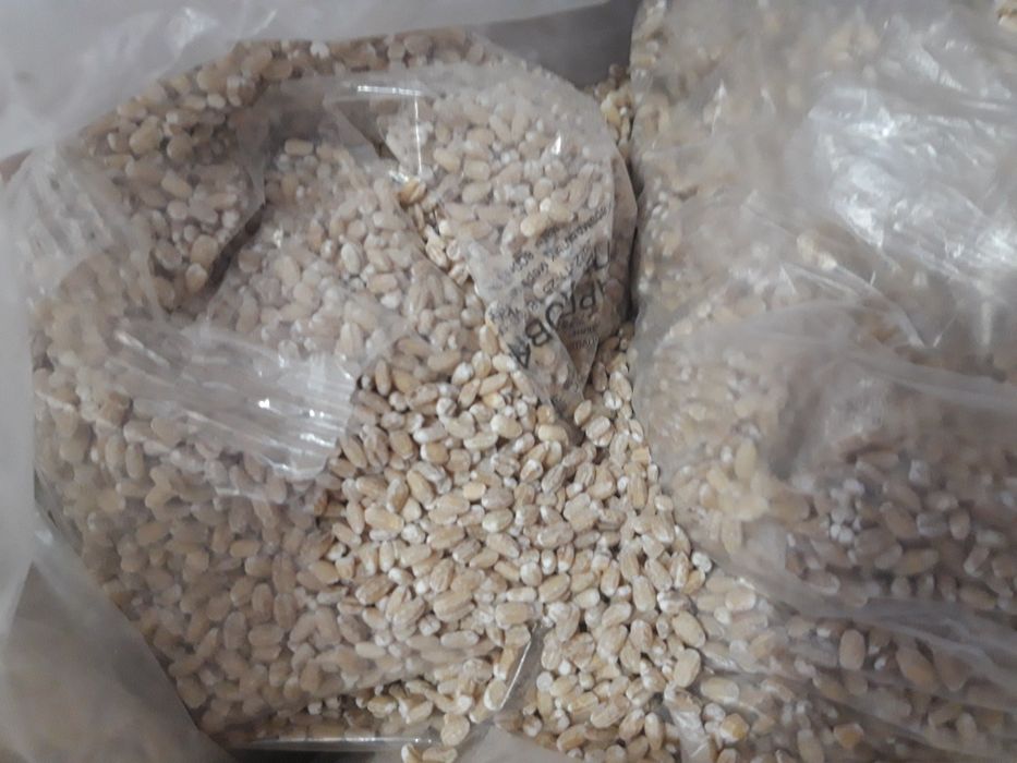 300 тенгеден Геркулес Горох Перловка Манка