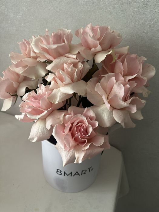 Продаются красивые цветы.