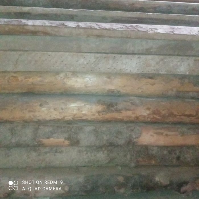 Тусин сотилади. Сосна