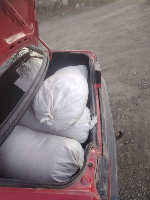 Тартылған жүгері