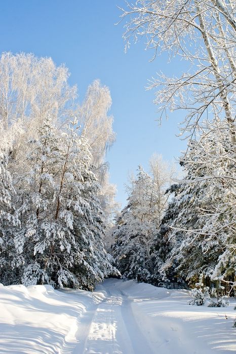 Продава се Парцел в Пловдив, Индустриална зона - Тракия - 2700 кв.м за 7 €/кв.м - Снимка #1