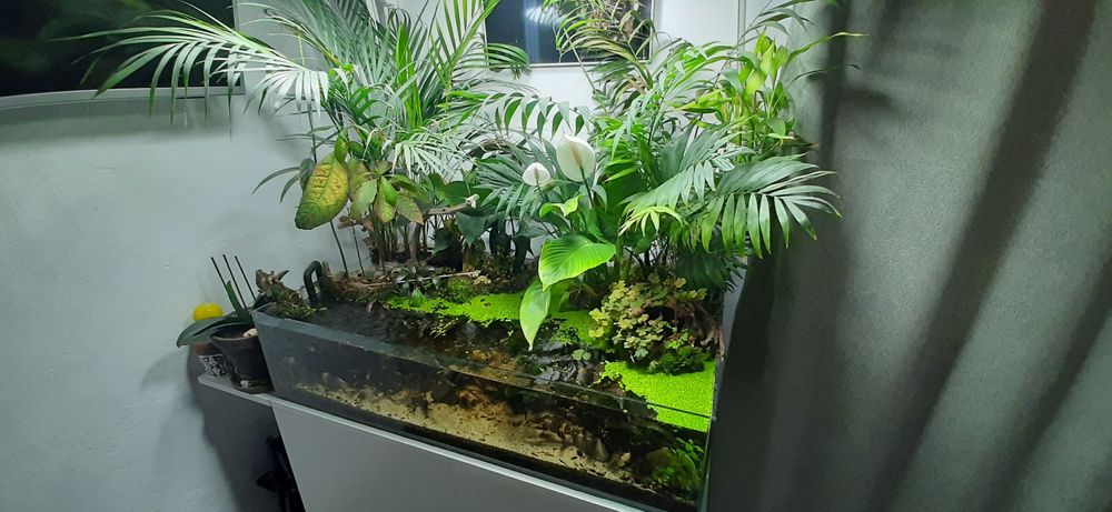 acvariu / terrariu complet echipat