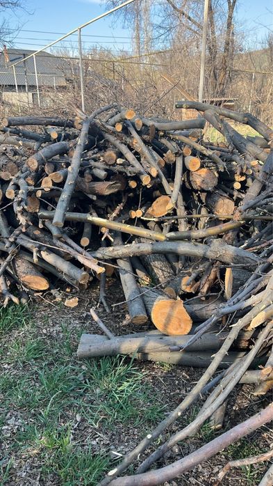 Продам дрова яблони