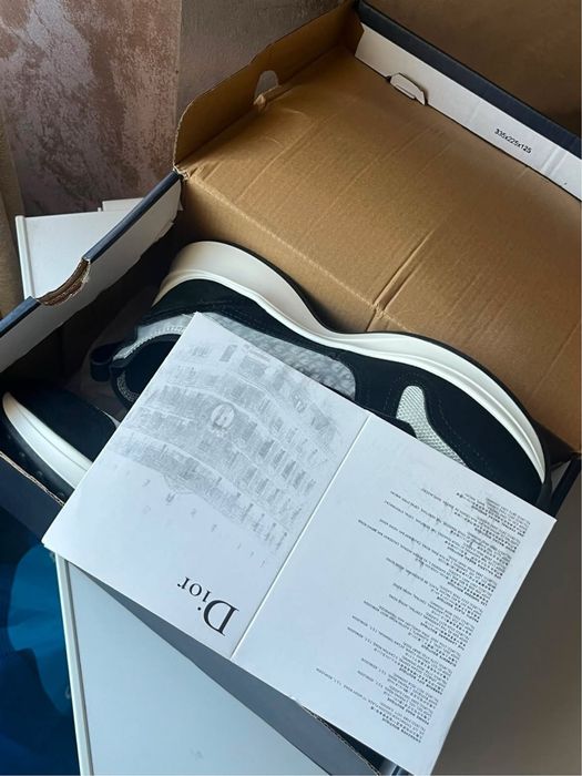 Dior B25 runners