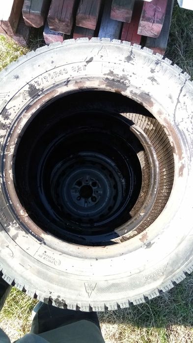 Покрышки Жигулевские