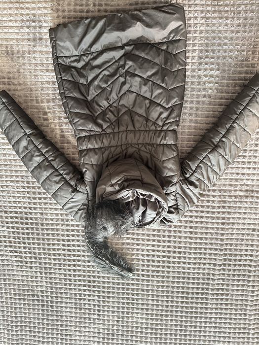 Guess яке за 8 години