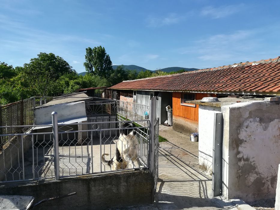 Продава се Къща в с. Миладиновци, Област Ямбол - 475 кв.м за 232 €/кв.м - Снимка #8