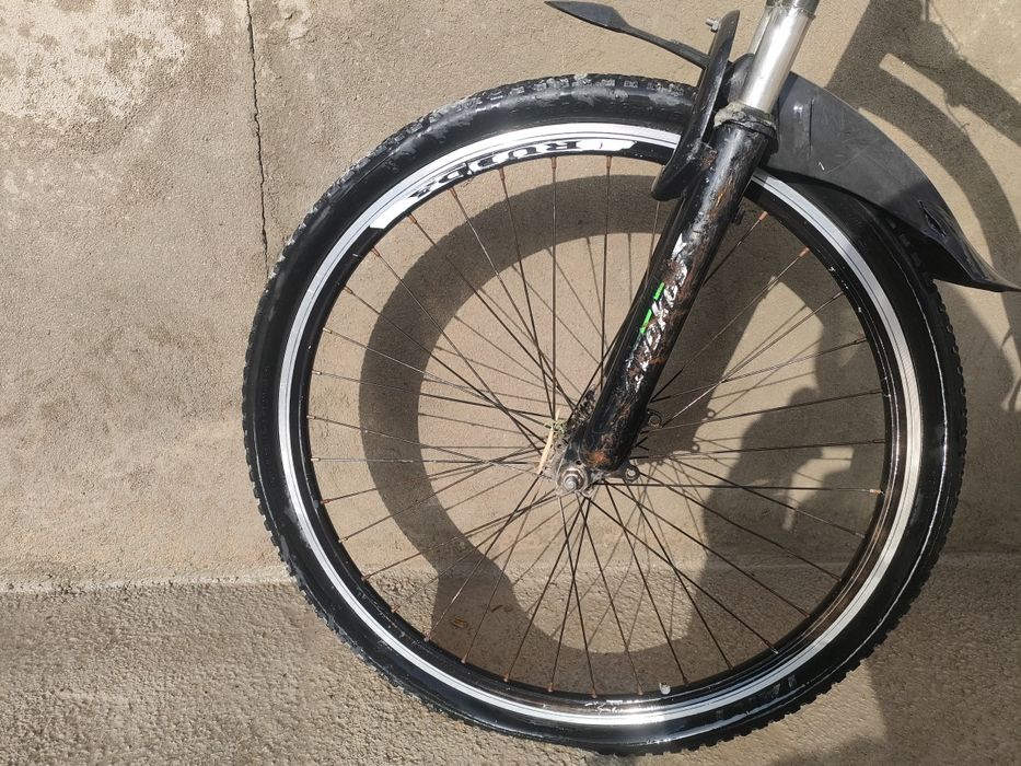 Velik 2020yil kòm haydal Magan