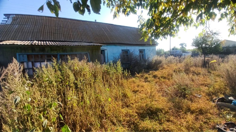 Бөрлі ауылы жер сатылады.