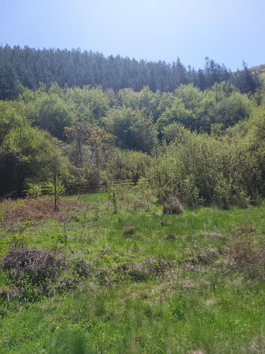 Продава се Къща в с. Луково, Област София-област - 24 кв.м за 625 €/кв.м - Снимка #20