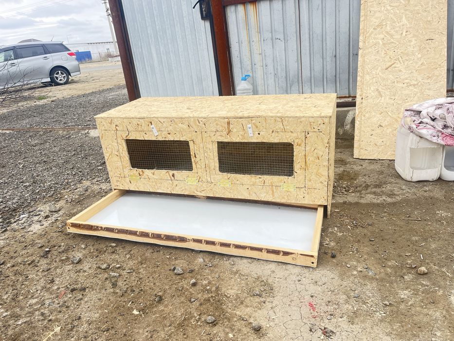 Брудер гниздо дамашный птица