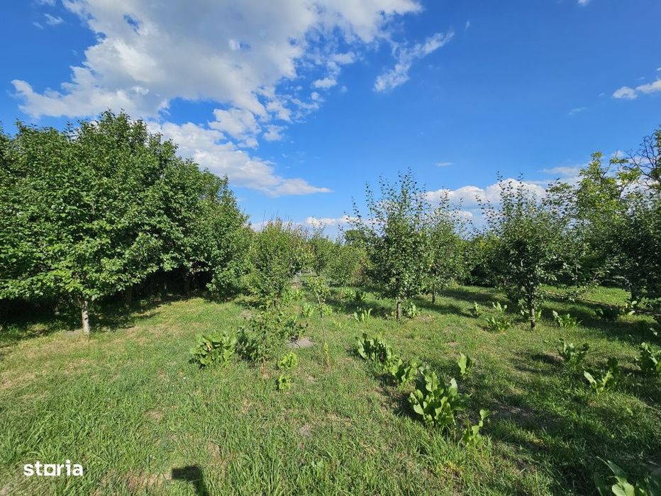 Teren intravilan cu casa renovabila | 772mp teren | Front 12m | Aiton