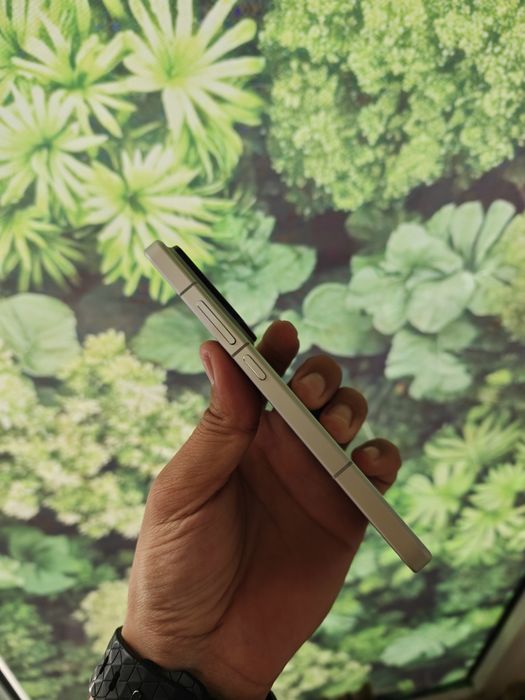 Xiaomi 15 12/256
