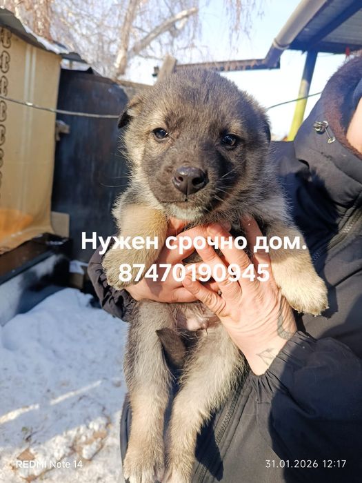 Малышке нужен дом