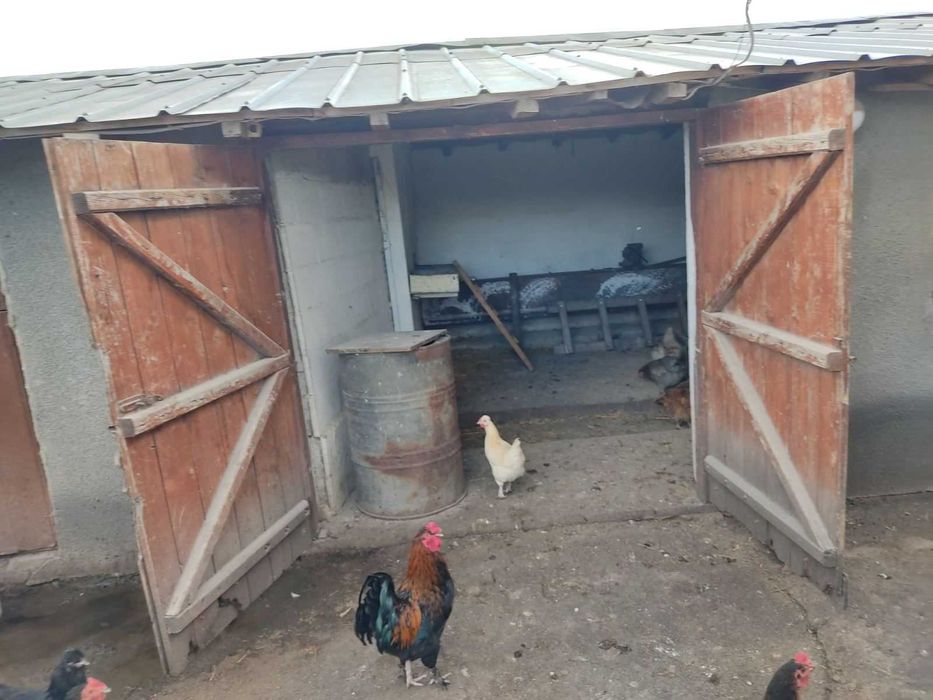 Продава се Къща в с. Кардам, Област Добрич - 100 кв.м за 510 €/кв.м - Снимка #4