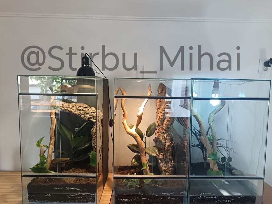 Terariu din sticla