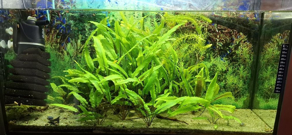 Продам аквариум 80 литров