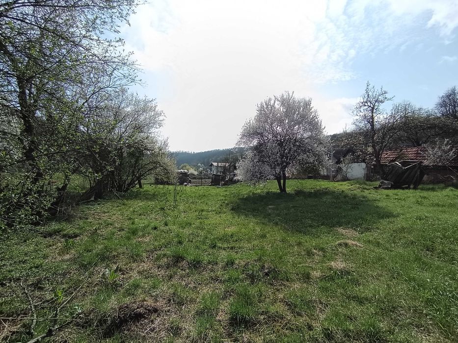 Tern cu casa bătrânească de vânzare