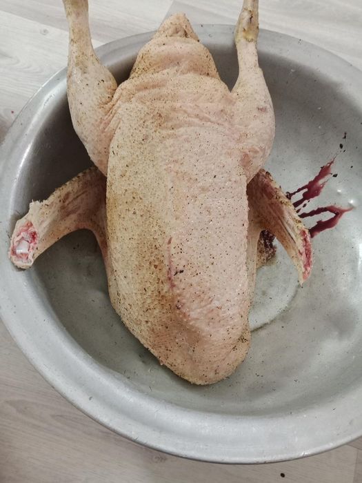 Қаз сатылады Линда пародасы 6айлық