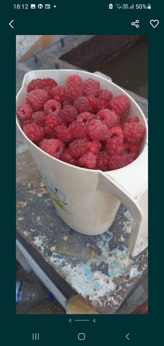 Продам  малину сладкие