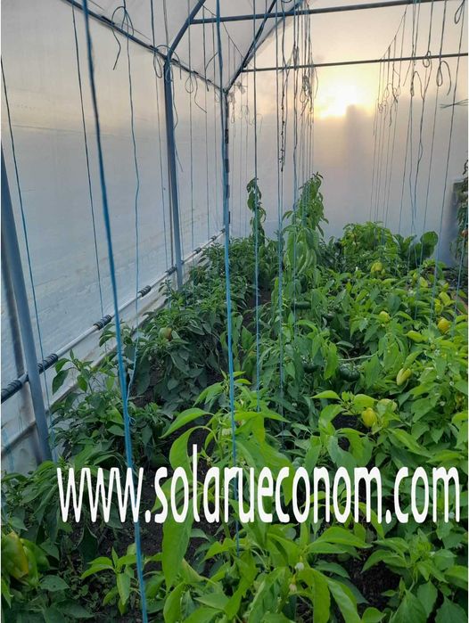 Solar(sera), gama PREMIUM, 20 mp, 1849 lei