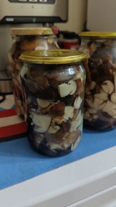Маринованные грибы