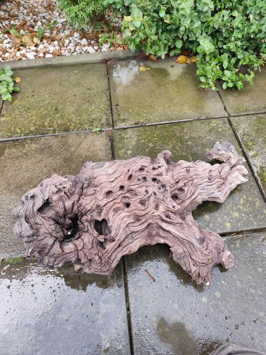 Lemn decor pentru acvariu