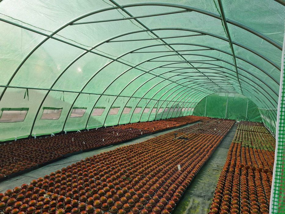 2x2m-8x20m - SOLAR gradina Sera SERA SolariI/ NOI / CORTURI24.RO Livada ...