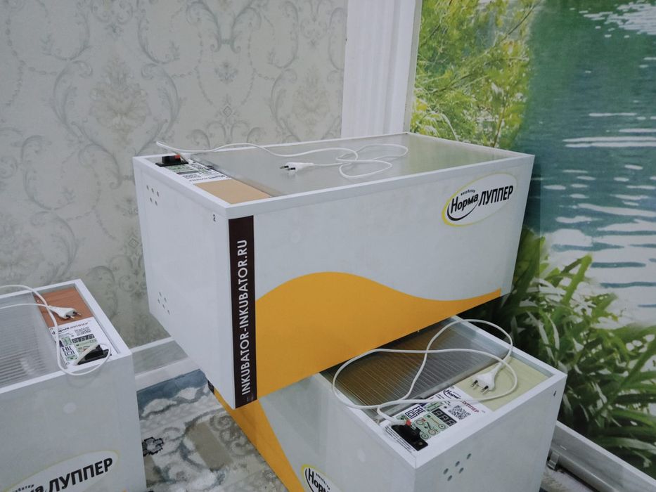 Инкубатр норма лупер