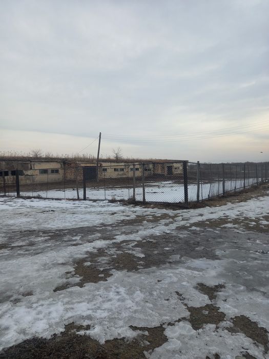 Фазенда база.     .