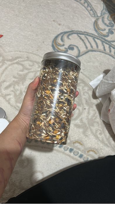 Хомяк , полный компл