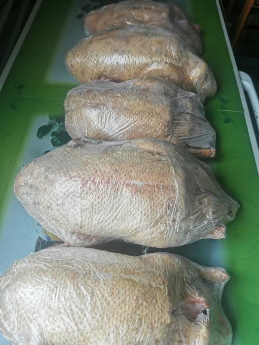 Мясо Домашнего Индюка, Утки, Бройлера, Индаутки