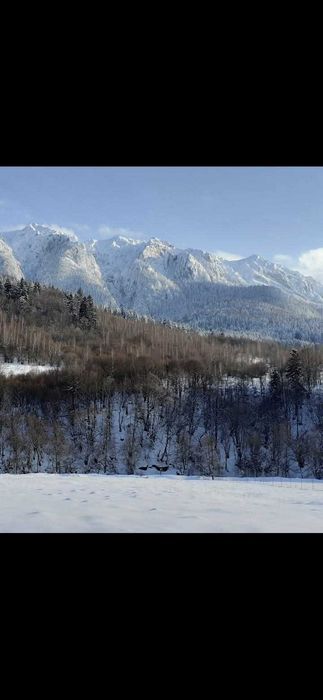 Teren intravilan Plaiul Foii