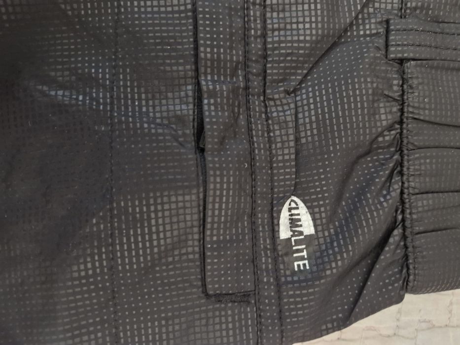 Брендовые шорты Адидас