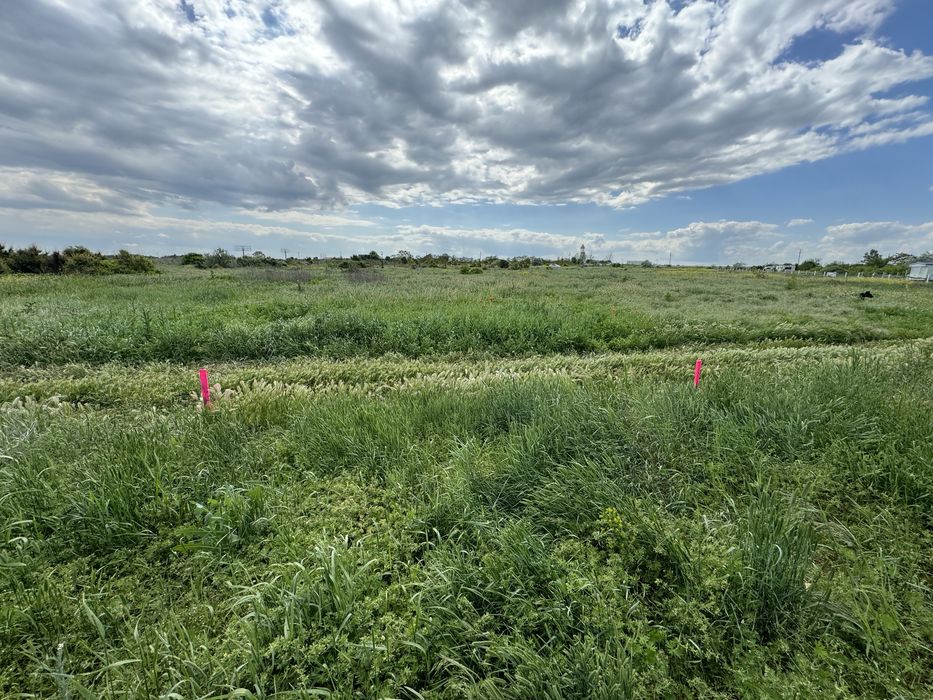 Vand teren intravilan Limanu, 2 Mai
