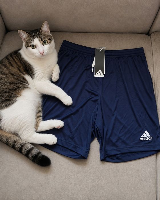 Pantaloni Adidas