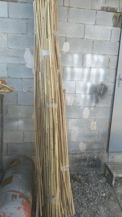 Бамбук сухой не крашенный