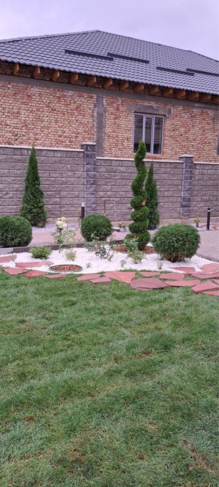 Озеленение под ключ