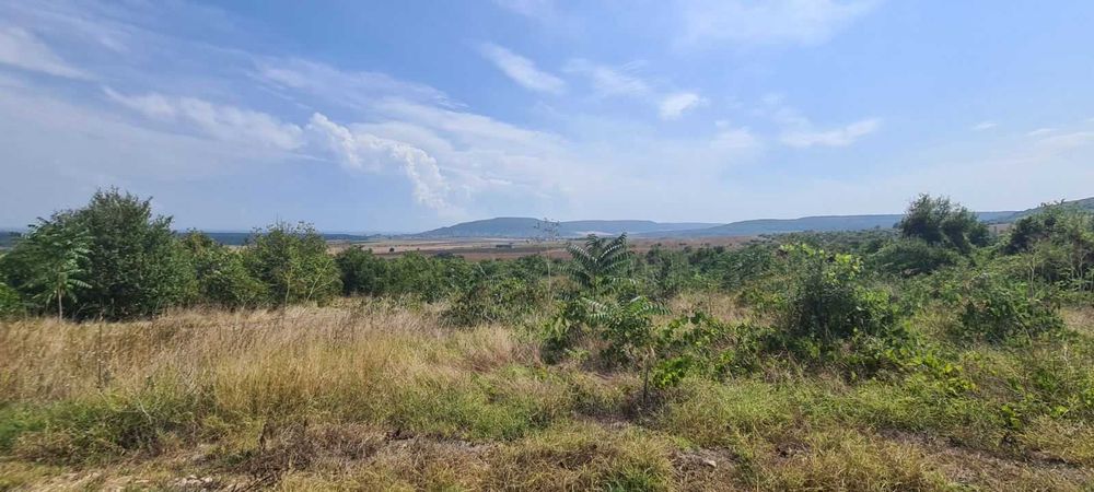 Продава се Парцел в с. Рогачево, Област Добрич - 1400 кв.м за 38 €/кв.м - Снимка #4