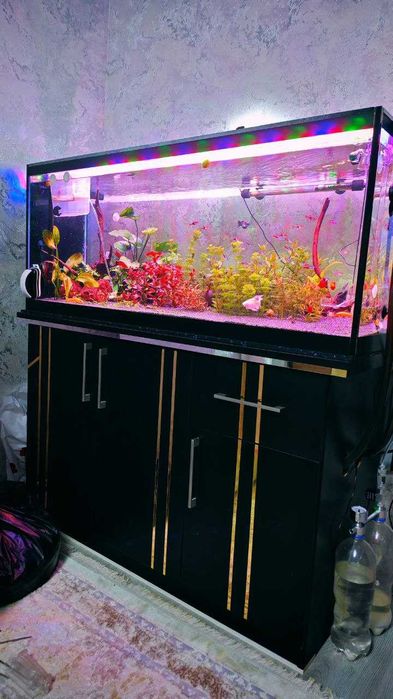 Продается Аквариум с тумбой