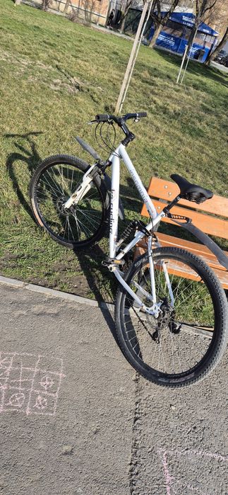 Bicicleta 29 insomnia