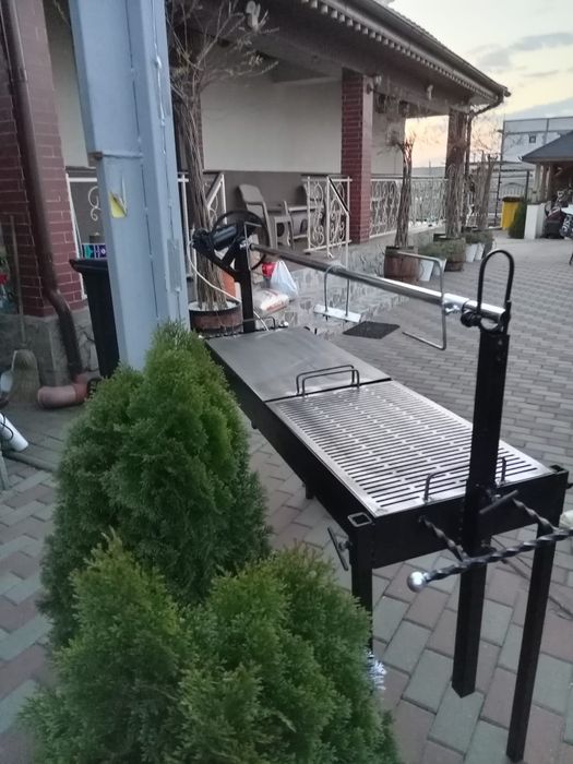 Rotisor proțap electric