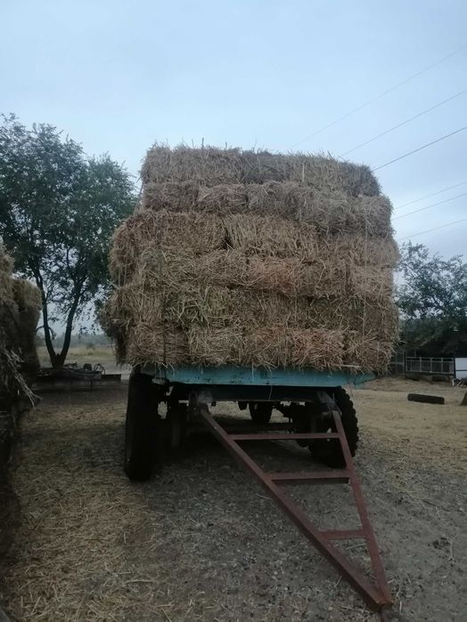 Продам сено разнотравие