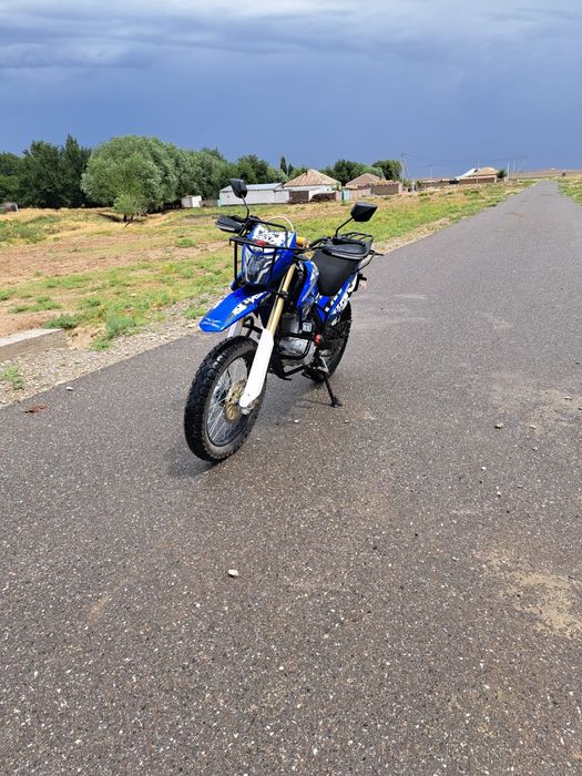 Jelmaia m19+ модельі